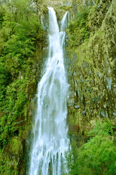 Risco Madeira Portugal Fevereiro 2018 Fontes Levam — Fotografia de Stock