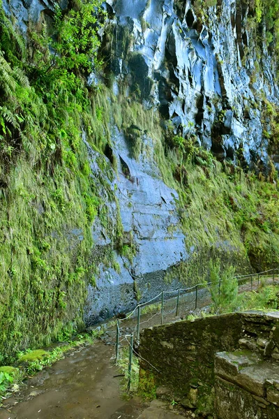 Risco Madeira Portugal February 2018 Fountains Levada Walk — Stock Photo, Image