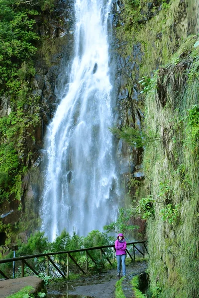 Risco Madère Portugal Février 2018 Les Fontaines Levada Walk — Photo