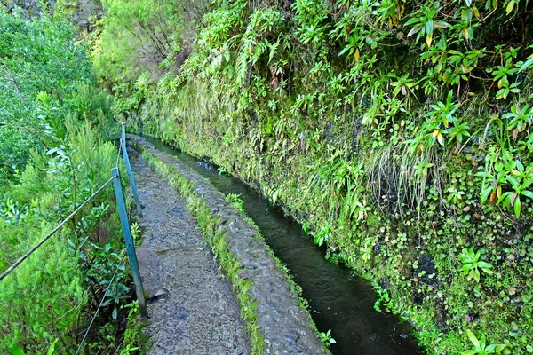 Mónika Madeira Portugália Február 2018 Szökőkutak Levada Séta — Stock Fotó