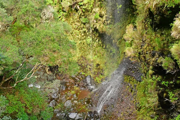 Risco Madeira Portugal Februari 2018 Fonteinen Levada Wandeling — Stockfoto