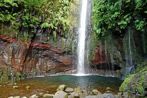 Risco Madeira Portugal Februari 2018 Fontäner Levada Walk — Stockfoto