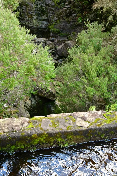 Risco Madeira Portugal Febrero 2018 Paseo Las Fuentes Levada —  Fotos de Stock