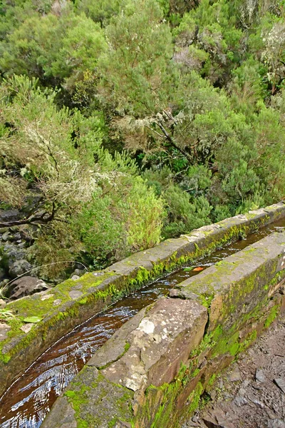 Risco Madeira Portugal Februari 2018 Fonteinen Levada Wandeling — Stockfoto