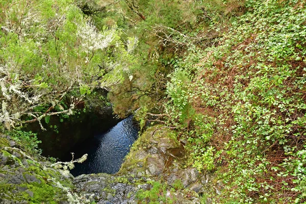 Risco Madeira Portugal Februari 2018 Fonteinen Levada Wandeling — Stockfoto