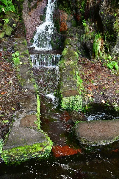 Risco Madeira Portekiz Şubat 2018 Çeşmeler Levada Yürüyüş — Stok fotoğraf