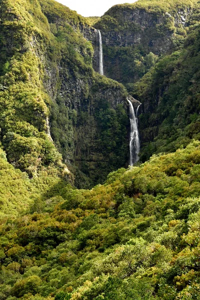 Risco Madeira Portogallo Febbraio 2018 Passeggiata Delle Fontane Levada — Foto Stock