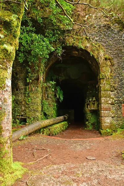 Risco Madeira Portugal Febrero 2018 Paseo Las Fuentes Levada —  Fotos de Stock