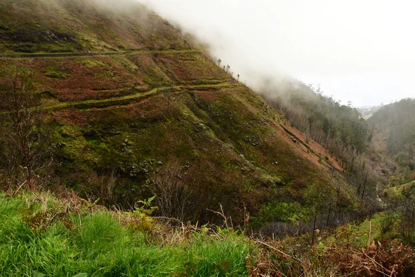 Risco Madeira Portugal Febrero 2018 Paseo Las Fuentes Levada — Foto de Stock