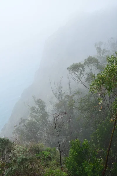 Cabo Girao Madeira Portekiz Şubat 2018 Uçurumun — Stok fotoğraf