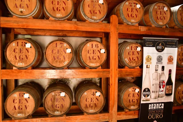 Porto Cruz Madeira Portugal Fevereiro 2018 Uma Destilaria Histórica Rum — Fotografia de Stock