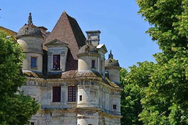 Ambleville Francja Czerwca 2018 Zamek Renesansowy — Zdjęcie stockowe