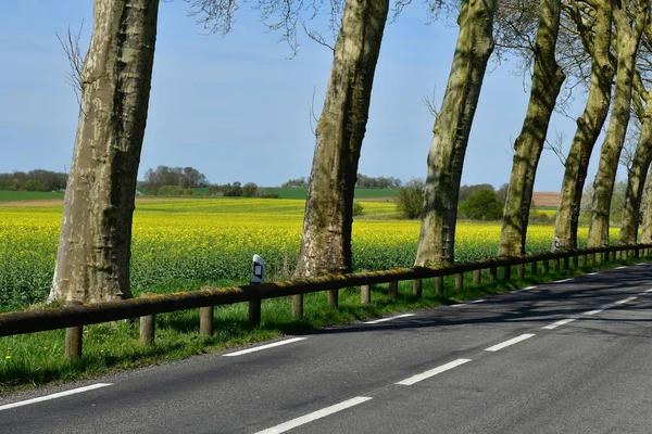 Arthies Frankrike Juni 2018 Pittoreska Vägen Mellan Arthies Och Magny — Stockfoto