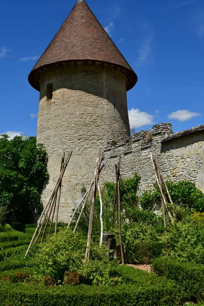 Villarceaux Francja 2018 Lipca Historyczny Zamek — Zdjęcie stockowe