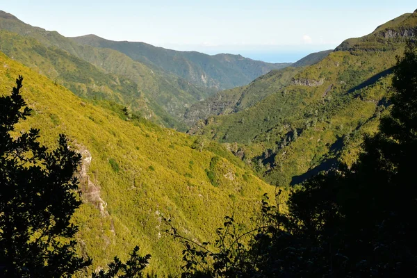 Risco Madeira Portekiz Şubat 2018 Çeşmeler Levada Yürüyüş — Stok fotoğraf