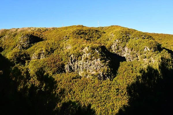 Risco Madeira Portugal Februari 2018 Fonteinen Levada Wandeling — Stockfoto