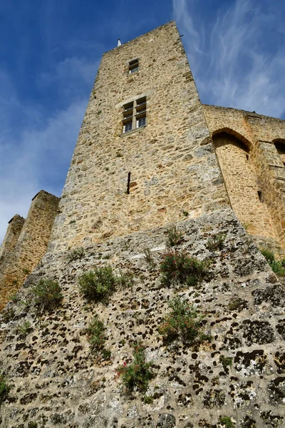 Chevreuse Francja Wrzesień 2018 Zamek Madeleine — Zdjęcie stockowe