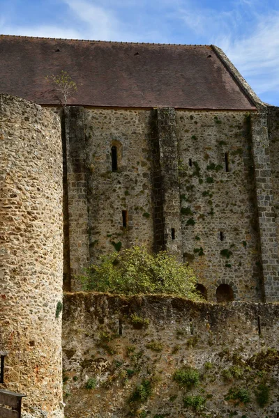 Chevreuse Frankrijk September16 2018 Het Chateau Madeleine — Stockfoto