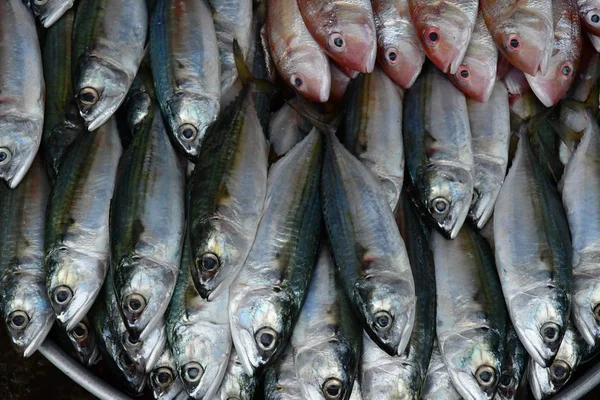 Dec Socialist Republic Vietnam August 2018 Seafood Picturesque Daily Market — Stock Photo, Image