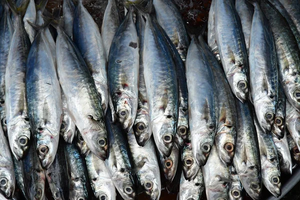 Dec Socialist Republic Vietnam August 2018 Seafood Picturesque Daily Market — Stock Photo, Image