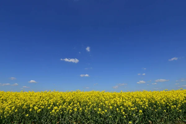 Bellay Vexin France May 2018 Landscape — 스톡 사진