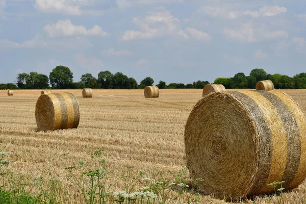 Dit Joli Village France July 2018 Bales Straw Field — Stock Photo, Image