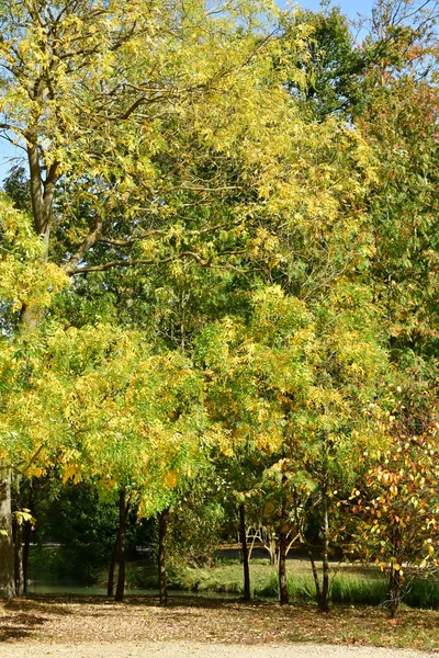 Versalles Francia Octubre 2018 Petit Trianon Park Finca Marie Antoinette — Foto de Stock