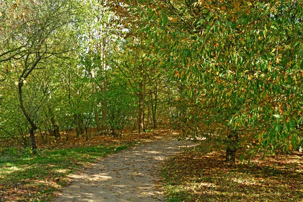 Versalhes França Outubro 2018 Parque Petit Trianon Propriedade Marie Antoinette — Fotografia de Stock