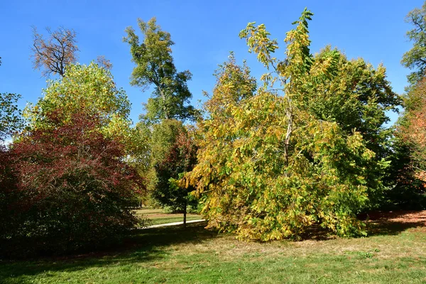 Versalhes França Outubro 2018 Parque Aldeia Propriedade Marie Antoinette Parc — Fotografia de Stock