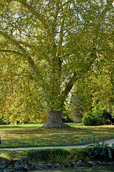 Versailles Francia Ottobre 2018 Parco Del Borgo Nella Tenuta Marie — Foto Stock