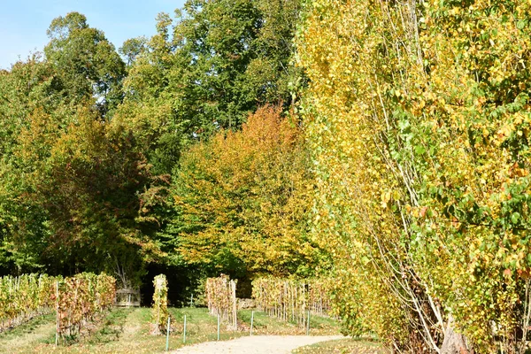 Versailles Francie Říjen 2018 Park Hamlet Panství Marie Antoinette Parc — Stock fotografie