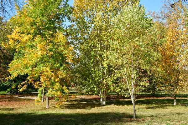 Versailles Francia Ottobre 2018 Petit Trianon Park Nella Tenuta Marie — Foto Stock