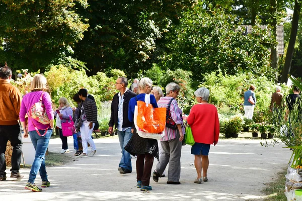 Les Mureaux Francia Septiembre 2018 Fleurs Seine Exposición Flores Venta — Foto de Stock