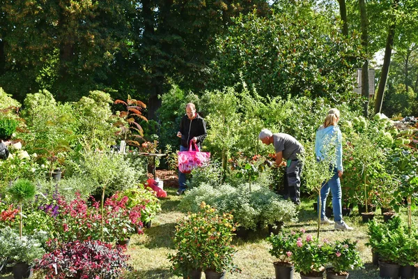 Les Mureaux Франция Сентября 2018 Fleurs Seine Выставка Цветов Продажа — стоковое фото