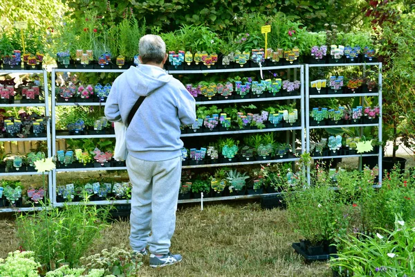 Les Mureaux France September 2018 Fleurs Seine Flower Exhibition Sell — Stock Photo, Image