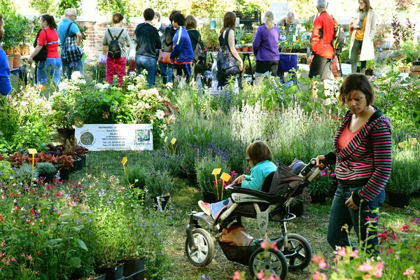 Les Mureaux France September 2018 Fleurs Seine Flower Exhibition Sell — Stock Photo, Image