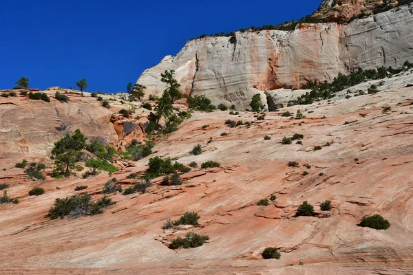 Zion Park Utah Estados Unidos Julio 2016 Parque Nacional — Foto de Stock