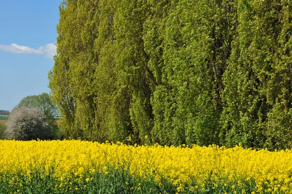 Bellay Vexin France May 2018 Landscape — Stock Photo, Image