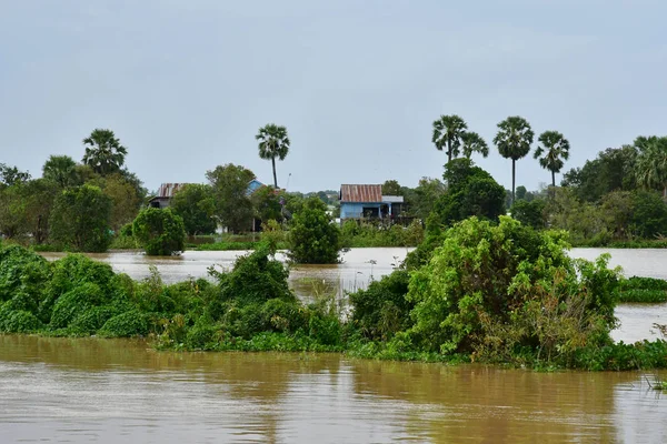 磅清扬 柬埔寨王国 2018年8月22日 洞勒湖附近风景如画的浮动村庄 — 图库照片