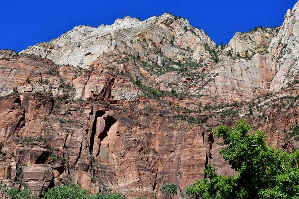 Zion Park Utah Usa Juli 2016 Het Nationaal Park — Stockfoto