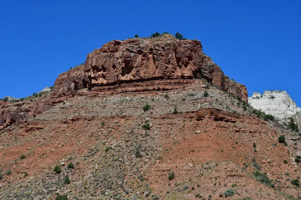 Zion Park Utah Amerika Birleşik Devletleri Temmuz 2016 Milli Parkı — Stok fotoğraf