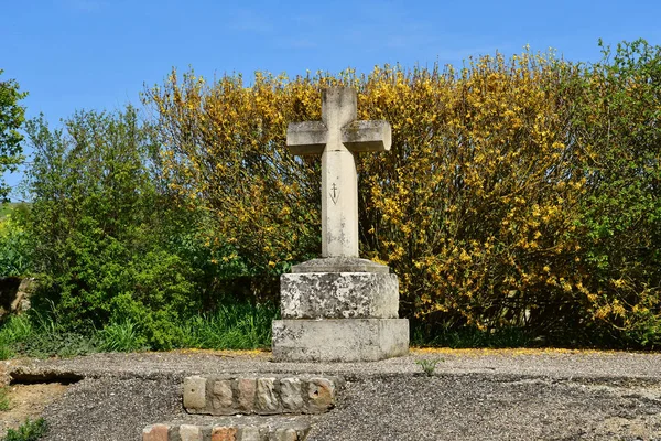 Ableiges Frankreich Mai 2018 Kostenloser Französischer Stella — Stockfoto