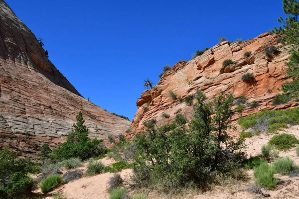 Zion Park Utah Estados Unidos Julio 2016 Parque Nacional — Foto de Stock