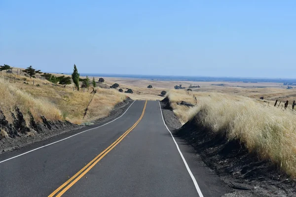 Modesto California Usa July 2016 Landscape Road Modesto Area — Stock Photo, Image