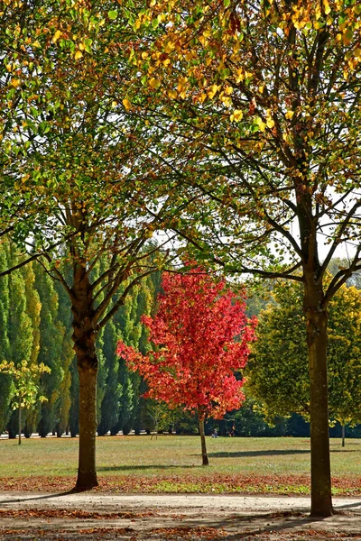 Versailles France Octobre 2018 Parc Château Versailles — Photo