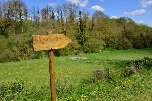 Commeny Francie Května 2018 Krajina — Stock fotografie