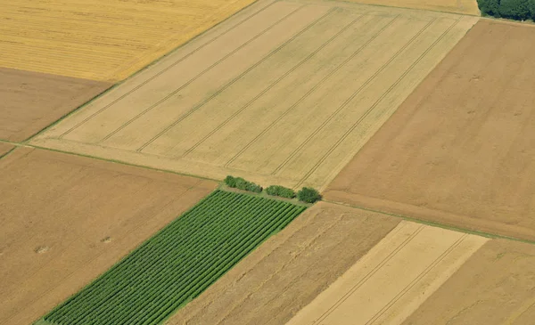 Thiverval Grignon Frankreich Juli 2017 Luftaufnahmen Von Feldern — Stockfoto