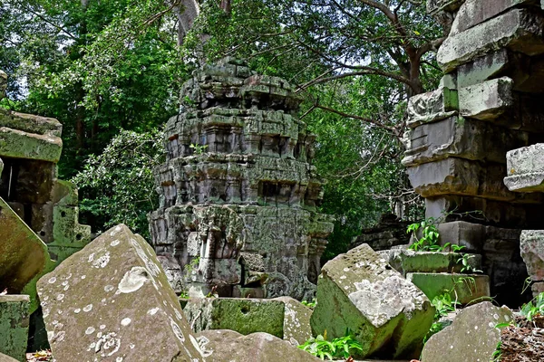 Siem Biçmek Kamboçya Ağustos 2018 Prohm Tapınağı — Stok fotoğraf