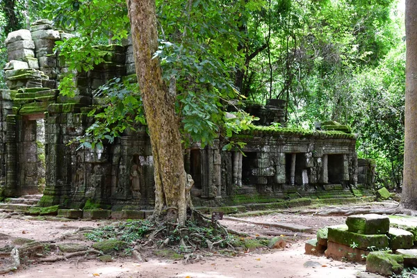 Siem Reap Royaume Cambodge Août 2018 Temple Prohm — Photo