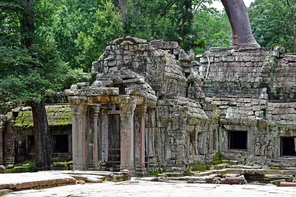 Siem Reap Royaume Cambodge Août 2018 Temple Prohm — Photo